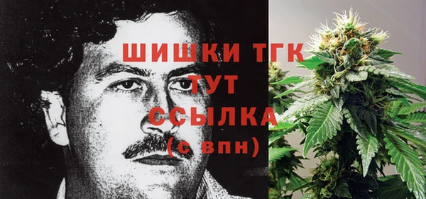 меф Нягань