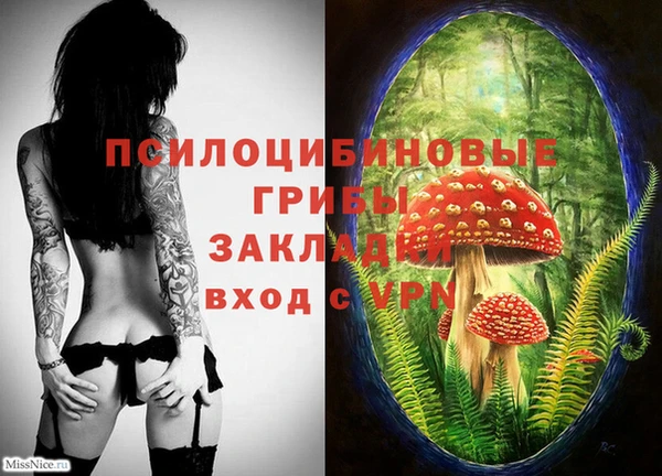амфетамин Няндома