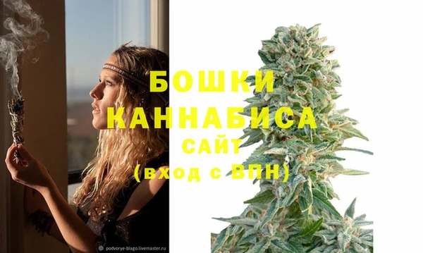 МДПВ Нязепетровск