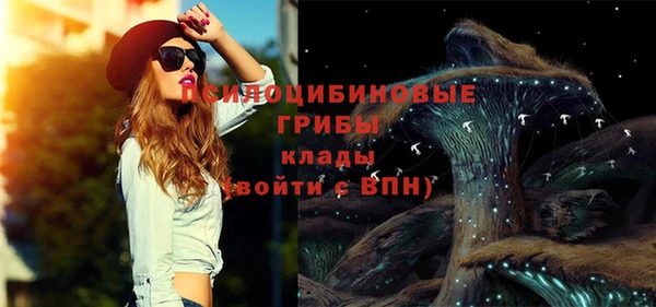 меф Нягань
