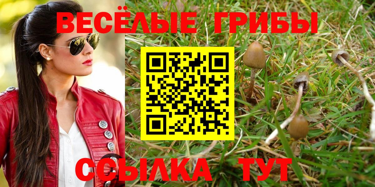 Псилоцибиновые грибы Psilocybine cubensis  Вход с VPN  Алейск  Галлюциногенные грибы GOLDEN TEACHER 
