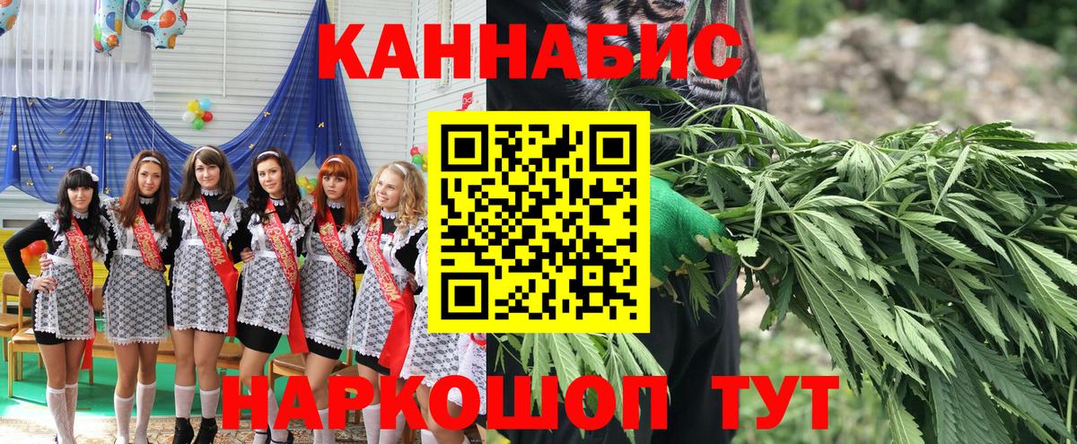 Бошки Шишки планчик Алейск